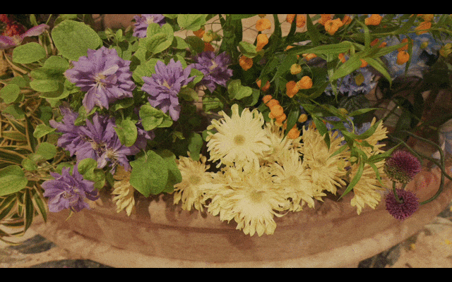 尼康Z5II视频防抖测试