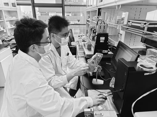 当口腔医生遇到物质科学家时，伤口愈合速度会