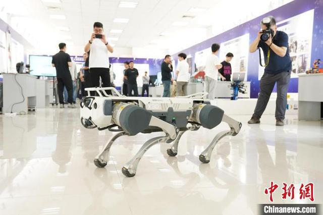 图为展会上大学生研制的机器狗模型吸引参观者拍照。王继军 摄