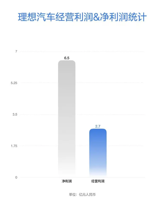 新的电力汽车公司是第一家！ 2025年第一季度汽车