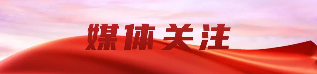 作       者丨吴艳芳 郝倩倩 张琳