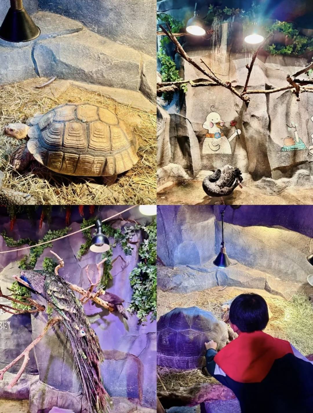 大众点评用户分享亲子活动体验