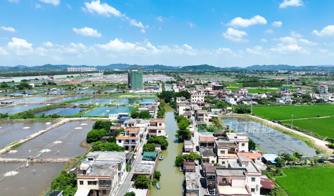 “福安模式”，获得国家级认证！|福安市_新浪财经_新浪网