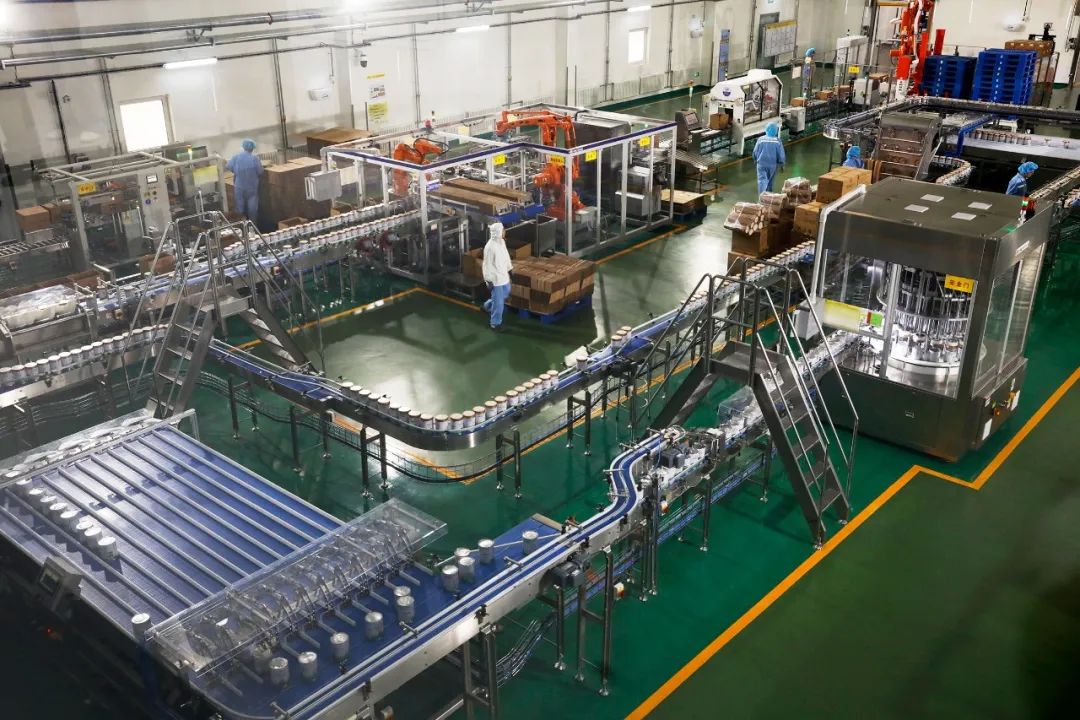 飞鹤乳业的生产线正在高速运转。王欣摄