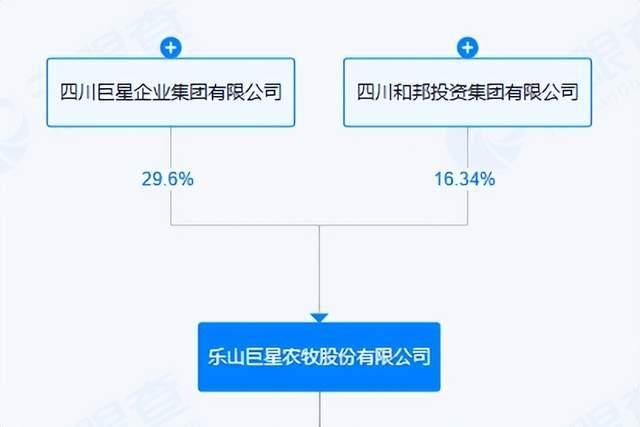 四川证监局出手 “乐山帮”大佬实控的华神科技被出具警示函(图3) 图源:天眼查