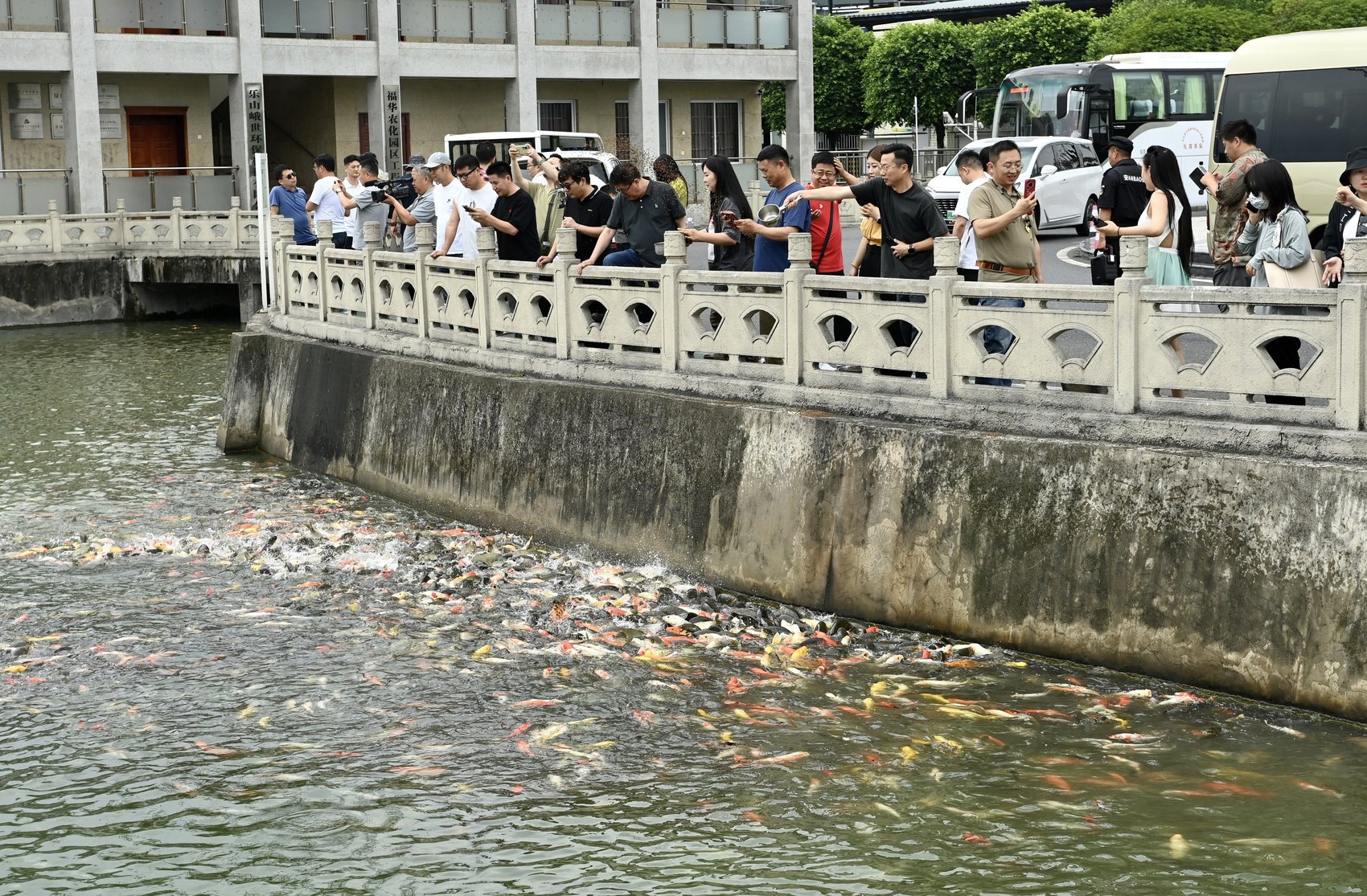 网络大V在福华通达化学股份公司废水养鱼池内喂鱼