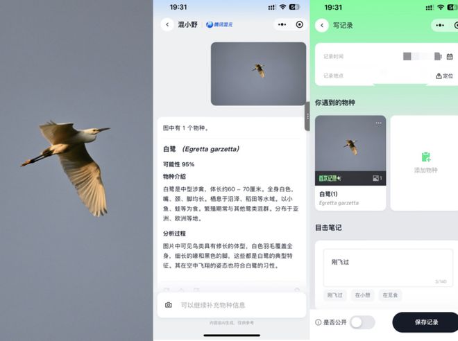 图源：野朋友合作伙伴、科普游子/摄