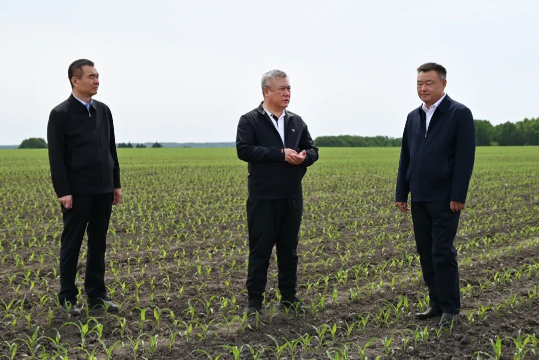 王兆成在绥棱农场调研。张晓婷 摄