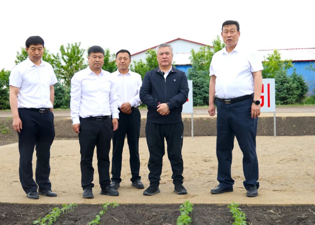 王兆成在建设农场调研。 钱泊羽 摄