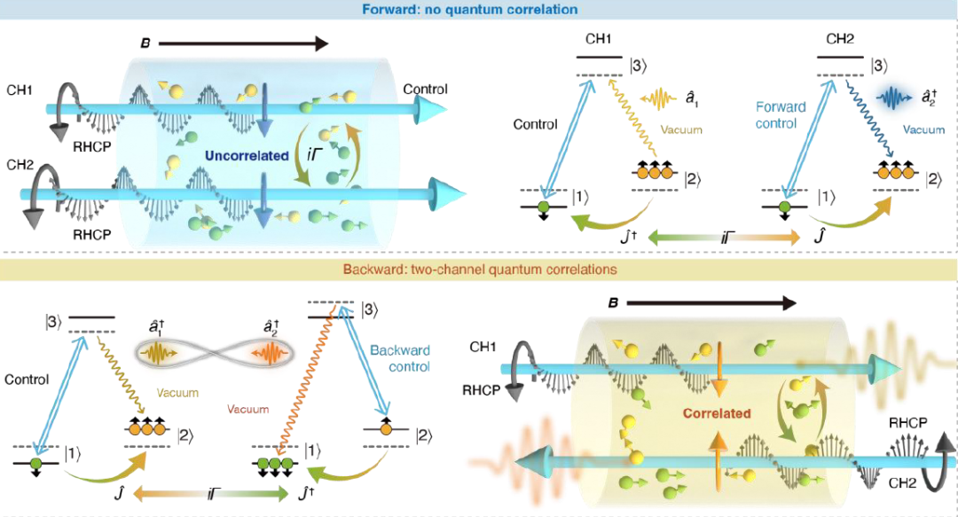 （山西大学供图）