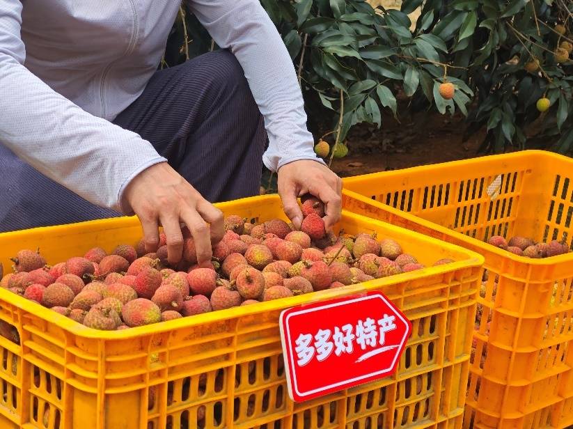 Pinduoduo的财务报告的较长延期：该平台决定“支