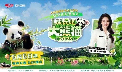 愈合强度是充分的，巨