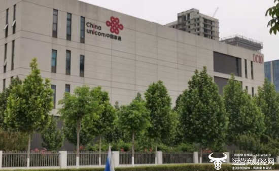排他性：2024年，天津Unicom的政府和业务收入是否