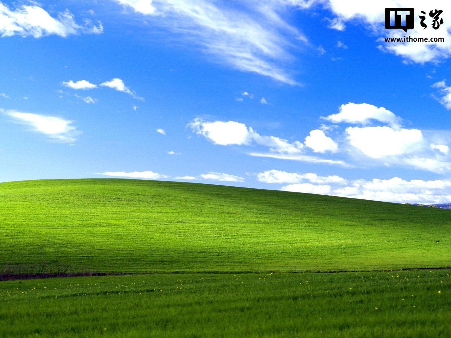 ▲ Windows XP 的“Bliss”壁纸