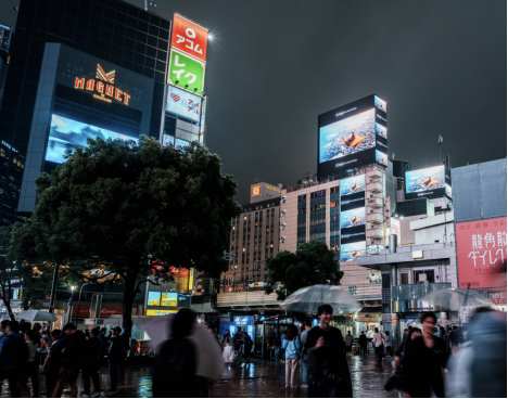 (日本东京涩谷十字路口)