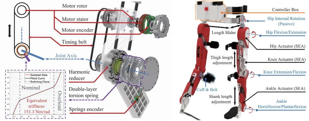 ▲ 基于柔顺关节的双侧髋-膝-踝全柔顺驱动康复外骨骼系统