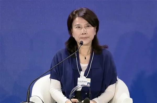 东明苏（Dong Mingzhu）：一些公司依靠流量来欺骗