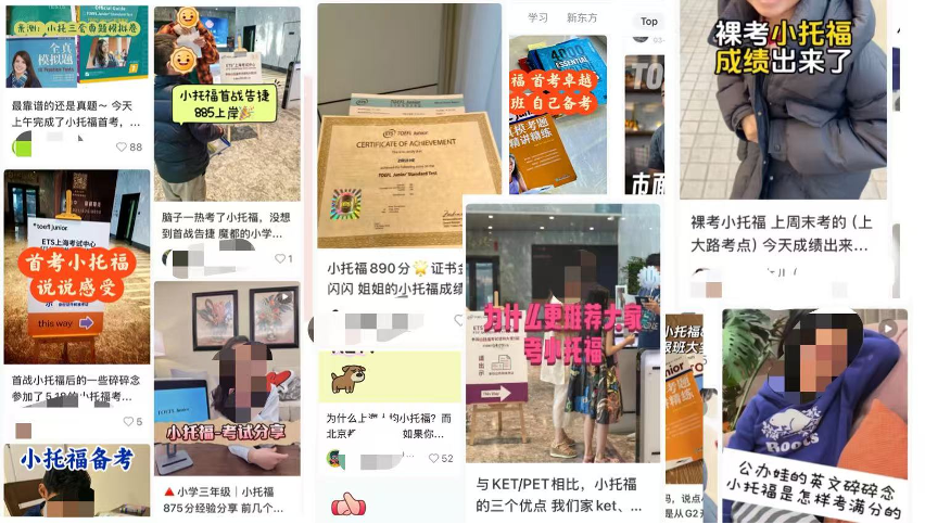 小托福在社交媒体被热议