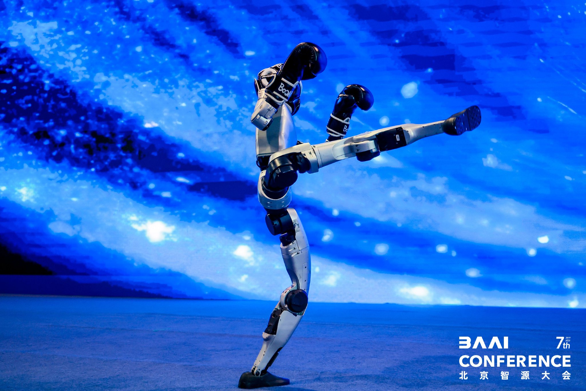 人形机器人现场展示格斗 主办方供图