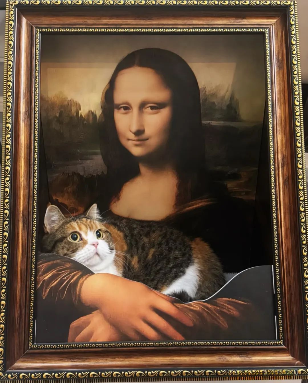 图源：义乌指数