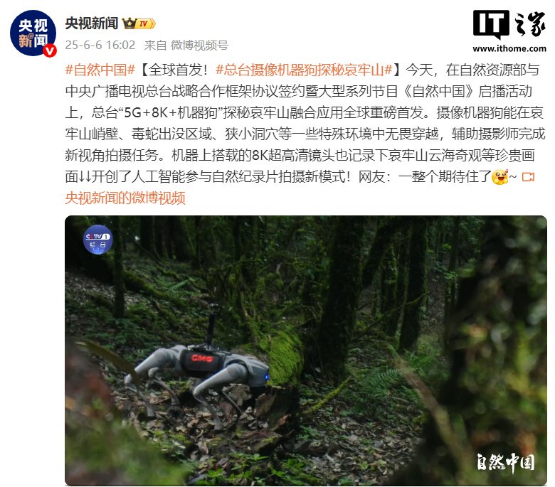 第一个CCTV摄像头机器人狗探索了IRAO“森林”山，