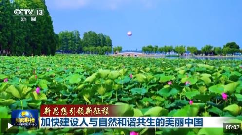 新思想引领新征程丨加快建设人与自然和谐共生的美丽中国|习近平_新浪财经_新浪网