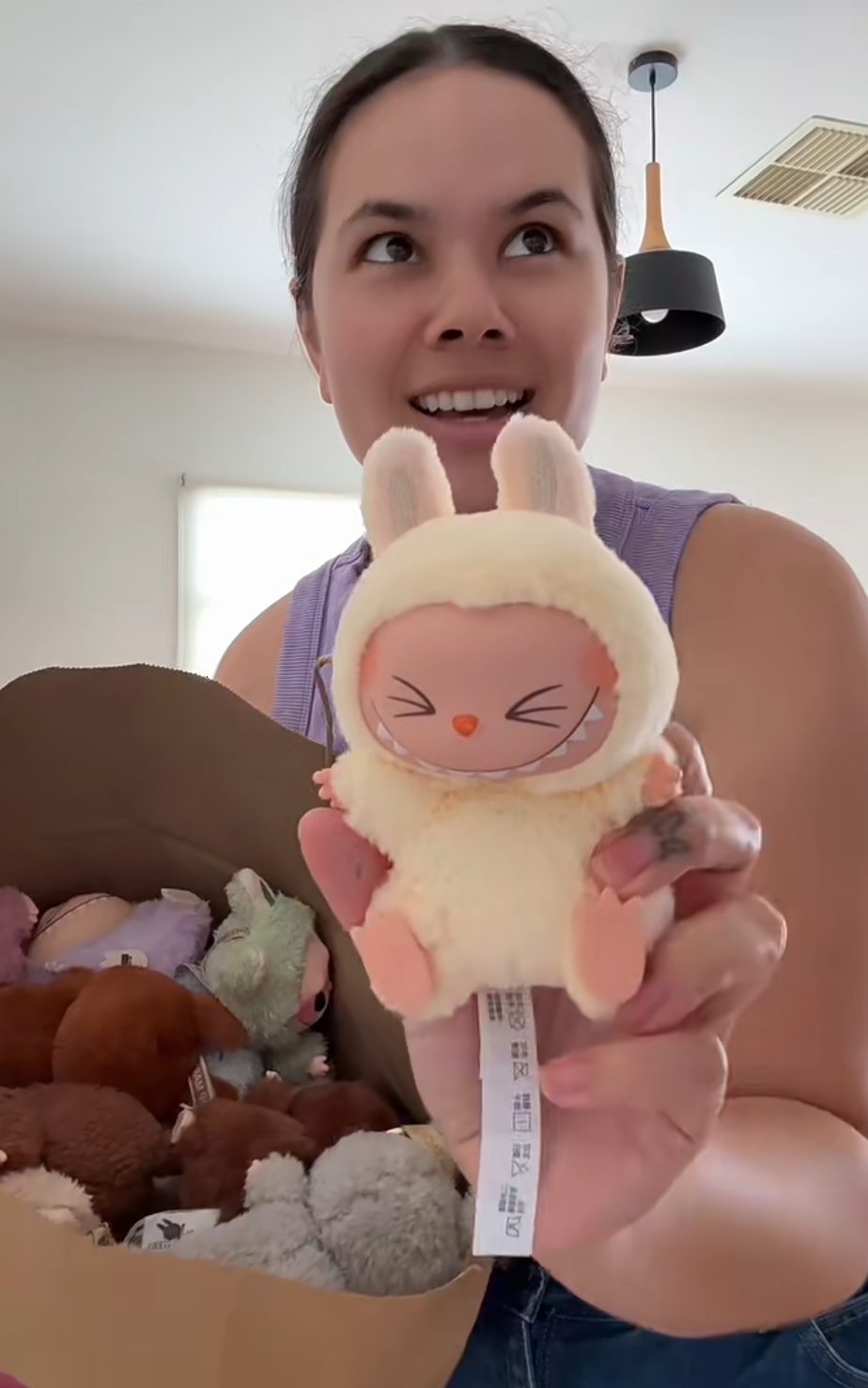   图 | 海外网友晒出的盗版拉布布