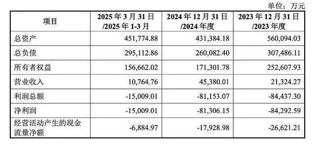 中芯宁波未经审计的财务数据