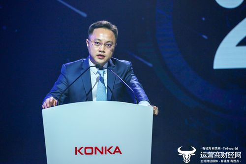 中国资源集团接受了康