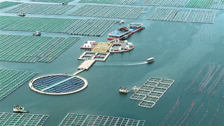 画里有话 | 同心呵护碧海蓝天