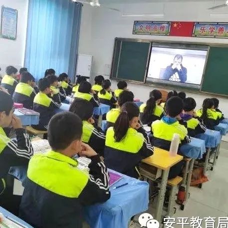 △图源：安平教育局公众号