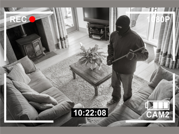 一个被盗窃并没有偷走主人的波兰人：相反，他