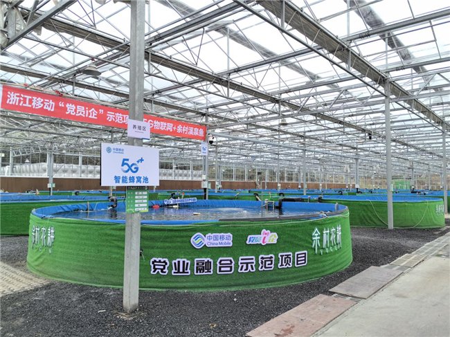 “5G物联网+余村溪泉鱼”项目