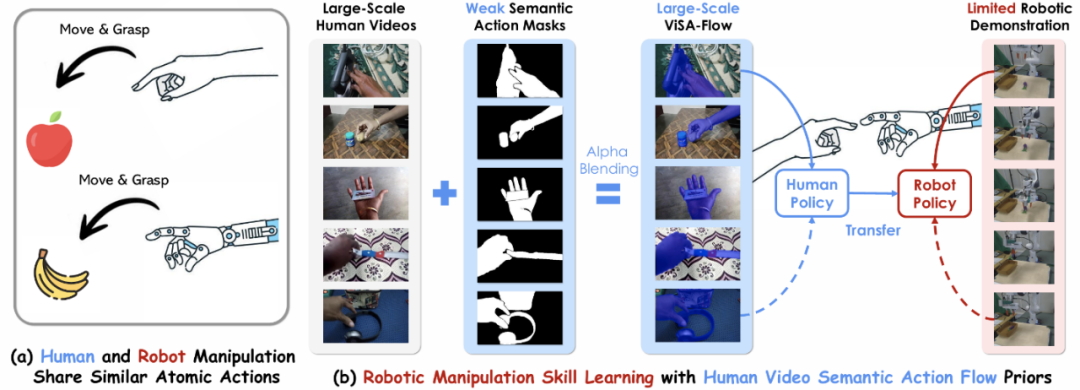 人类和机器人操作共享相似原子动作