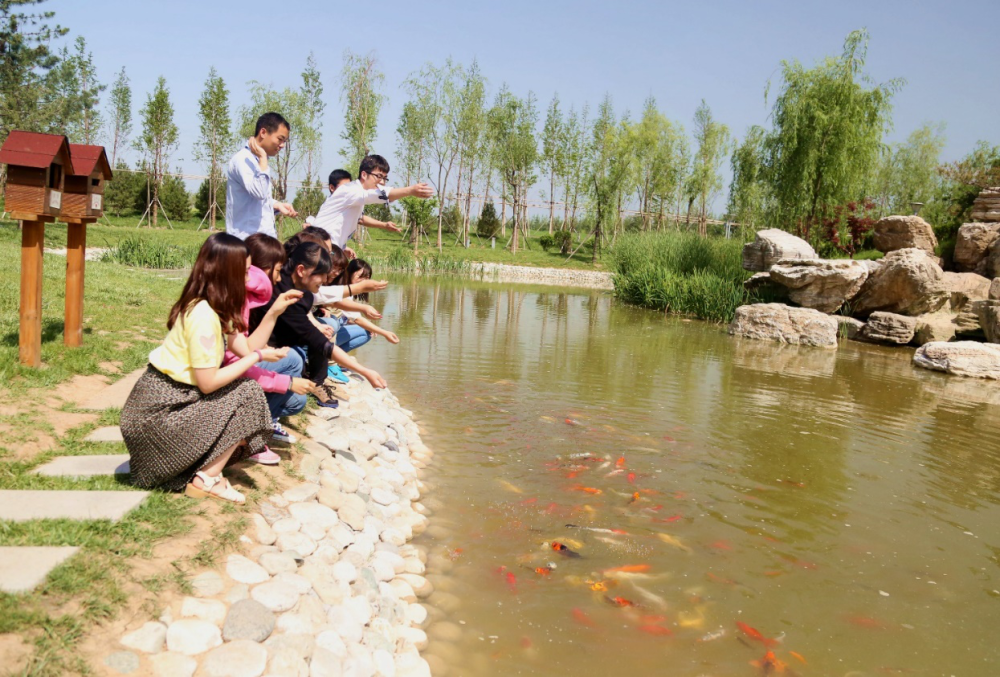 三星半导体员工在工厂排放净水的“人工湖”边喂鱼