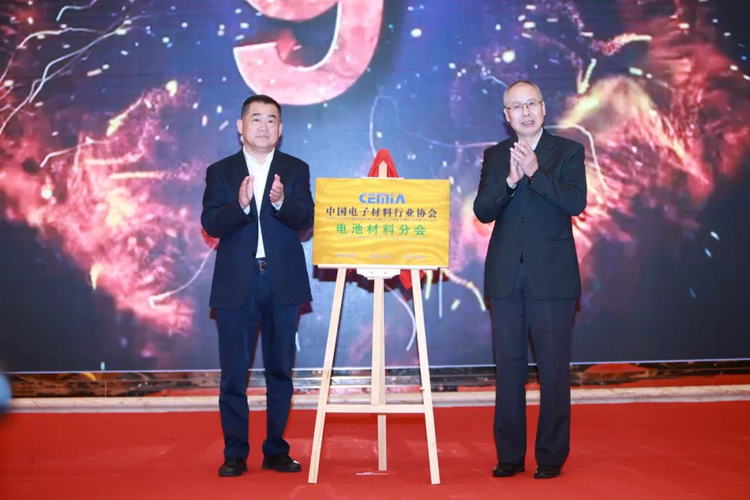 图:潘林理事长、王建宇司长为电池材料分会揭牌