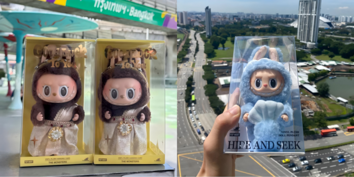 图源：小红书@张挺好、小红书@坡坡不坡坡