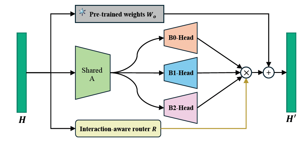 图 2. 具有多个 LoRA head 的 Interaction-aware LoRA 结构