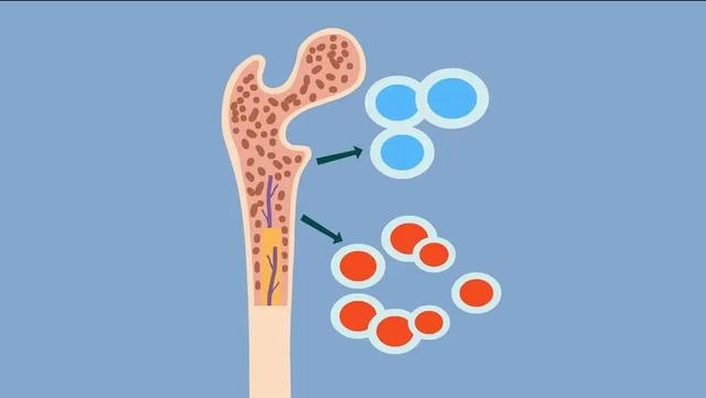 （图源网络，侵删）
