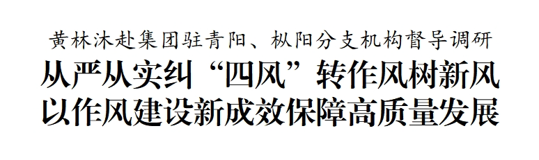集团新闻 | 黄林沐赴集团驻青阳、枞阳分支机构督导调研|黄林_新浪财经_新浪网