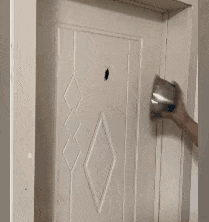 ▲图源：抖音@豪哥嘎嘎酷