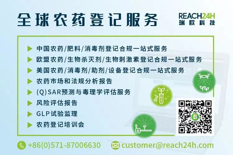 (本图为广告,与下文无关)
