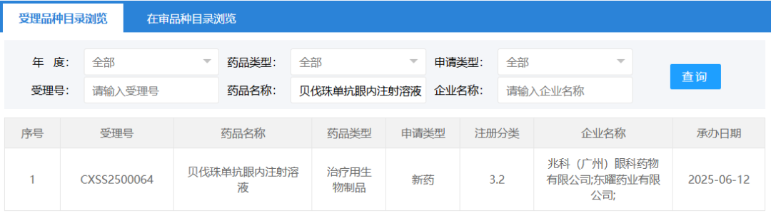 截图来源：CDE 官网