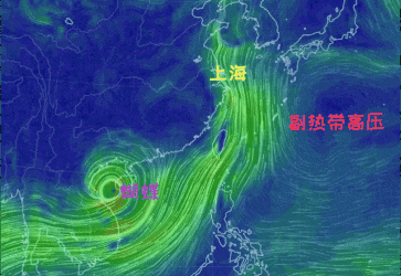 台风周日前后影响上海