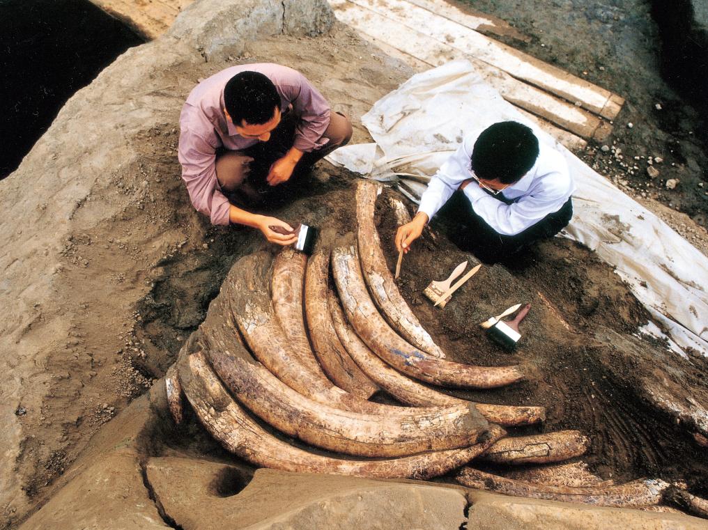 黑金沙大理石价格与优势 社区团购平台是怎么排名的