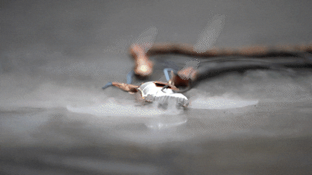 充电宝过充实验。图/北京消防