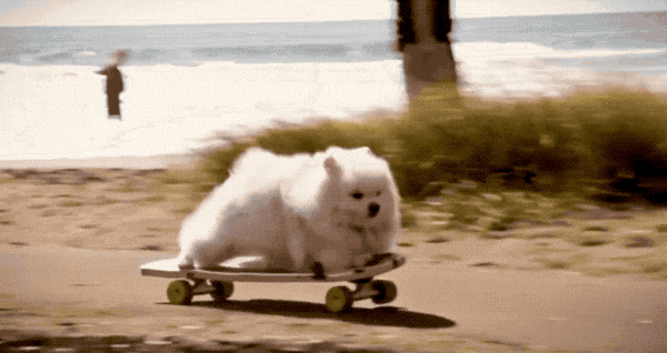 汽车漂移也不在话下。