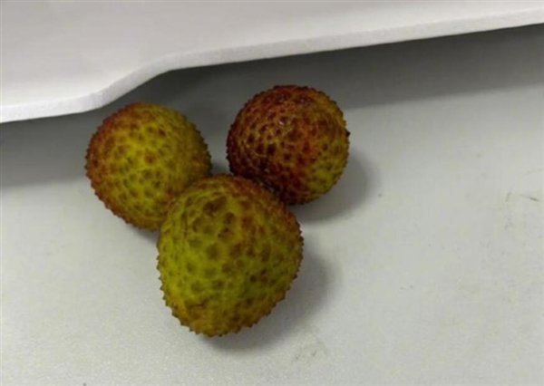 Lychee价格跌幅70％：增加产量和后勤成本降低