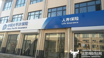 Yu Lingyan充当了太平洋人寿保险的主要Actuario，并
