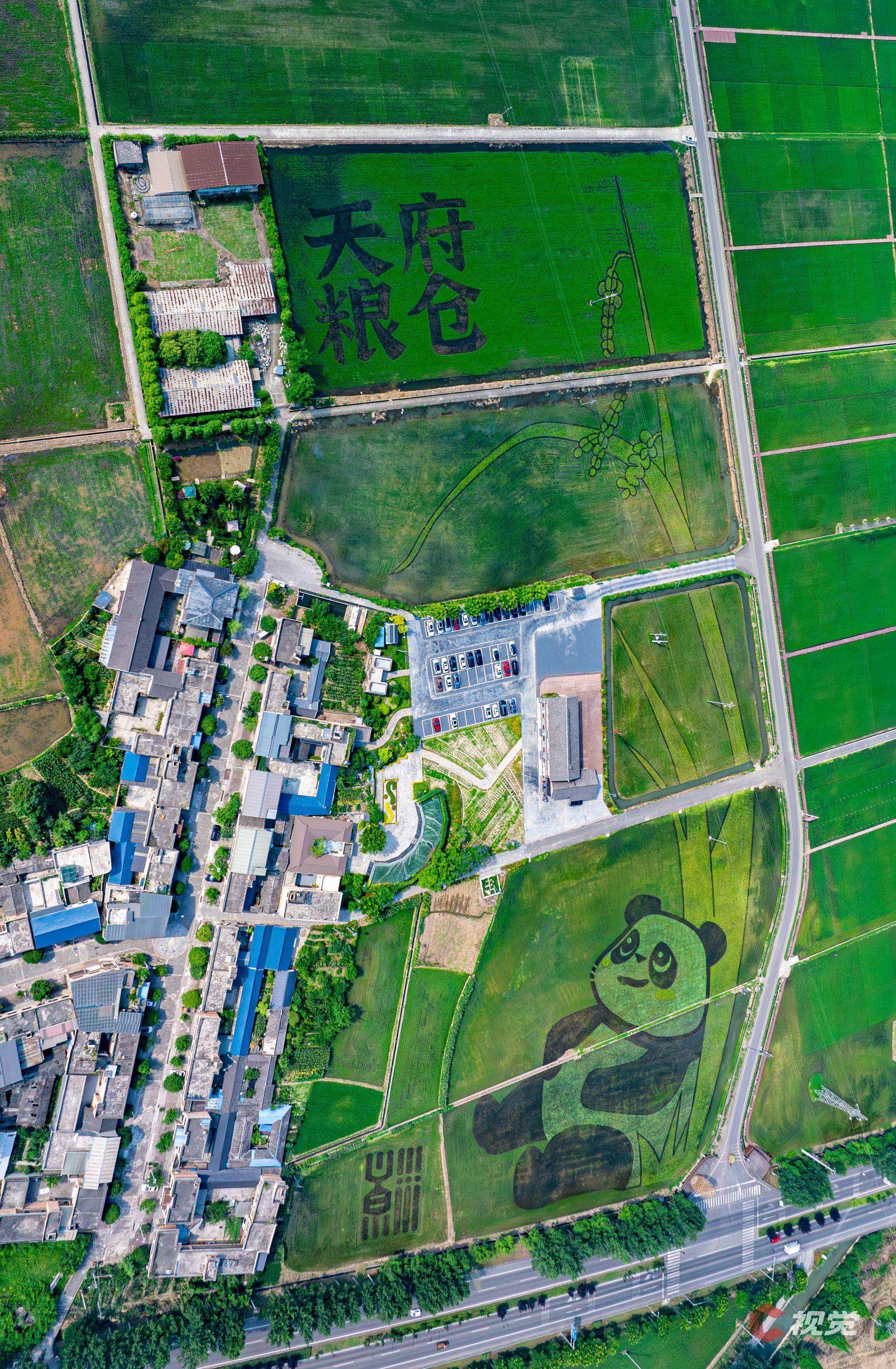 大田景观再上新